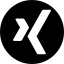 Xing Icon